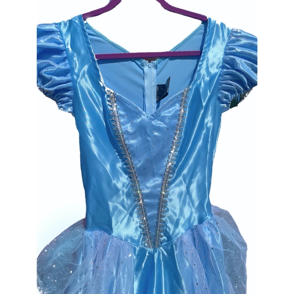 Women's Classic Cinderella Princess Halloween Costume
